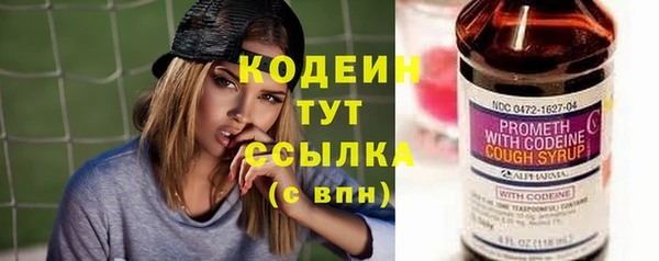 прущие грибы Ельня