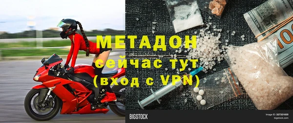 прущие грибы Ельня