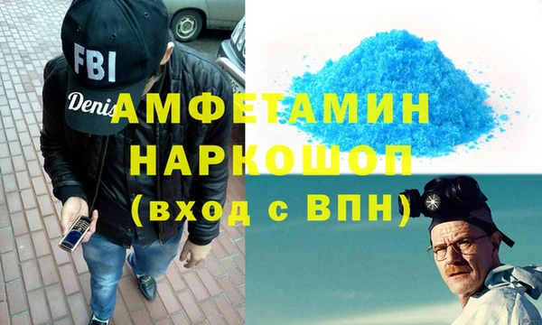 прущие грибы Ельня