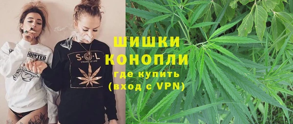 прущие грибы Ельня