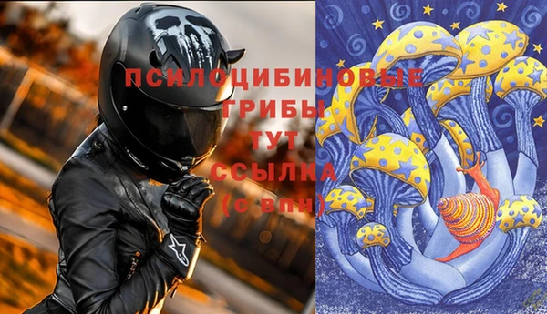 прущие грибы Ельня