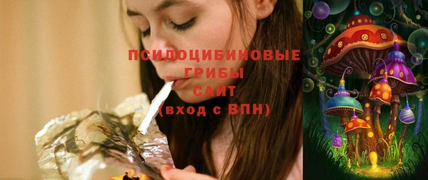 соль ск Елабуга