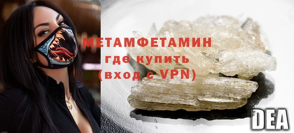 прущие грибы Ельня