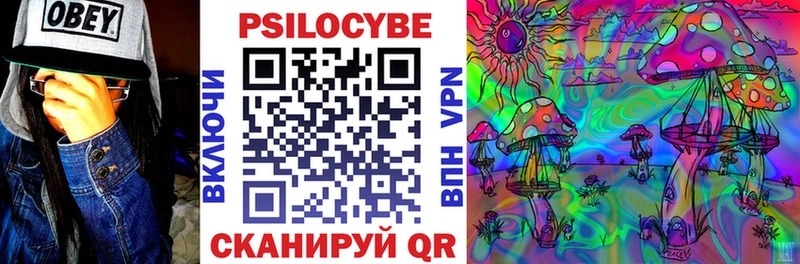 Купить где  Ангарск  Галлюциногенные грибы Cubensis 